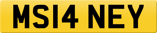 MS14NEY